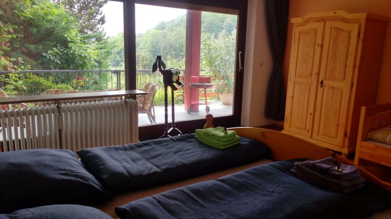 Ferienwohnung Rhododendron - Natur Pur Am Highwalk Rotenburg an der Fulda Exterior foto